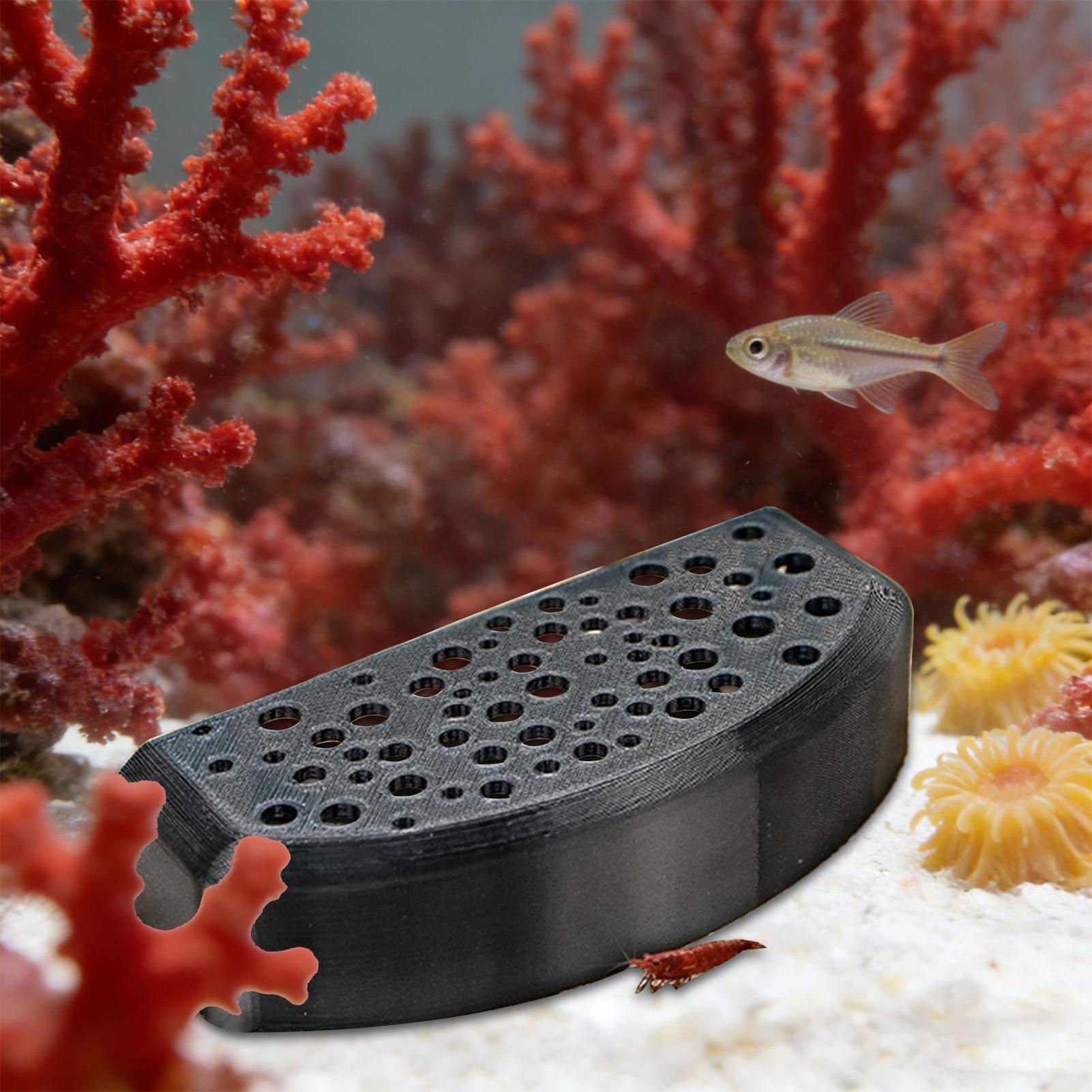 Aquatic Zone - Aquatic Pet Rest Ornament Multi Hole