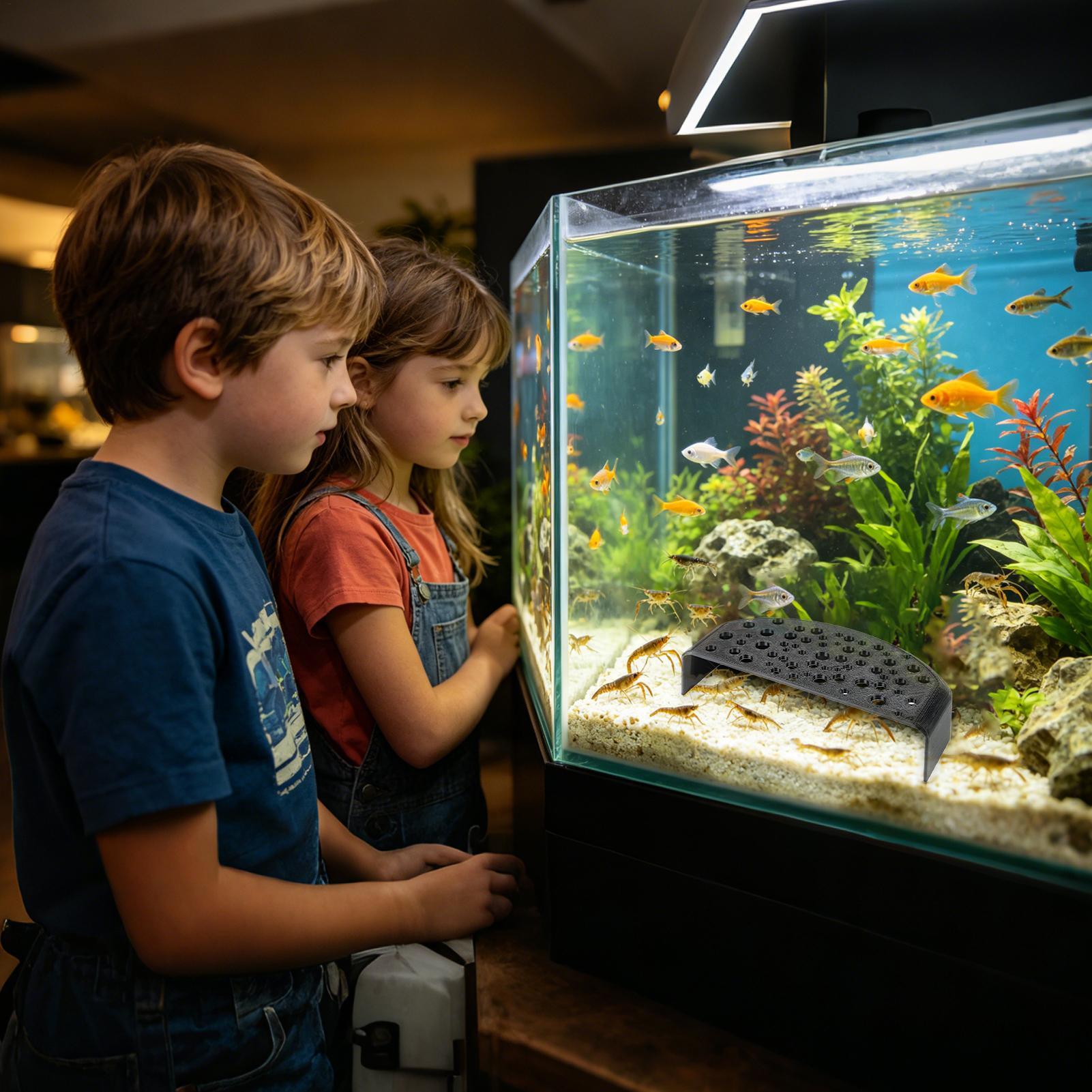 Aquatic Pet Rest Ornament Mult - Aquatic Zone ulasan dan harga